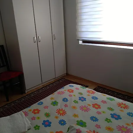 Adela B&B 비소코